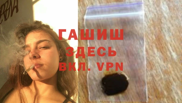 стафф Алексин