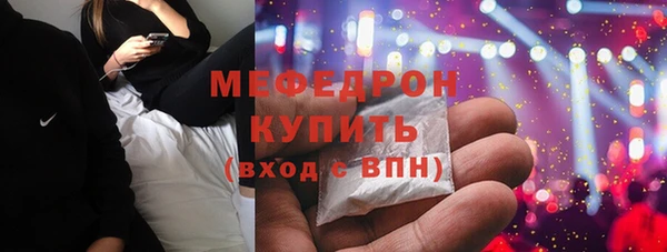 индика Бикин