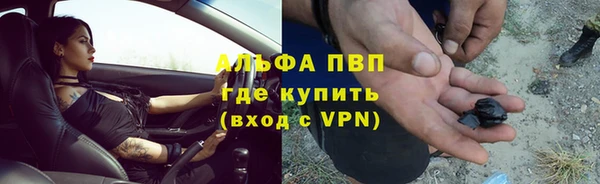 стафф Алексин