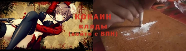 стафф Алексин