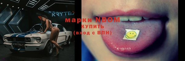 винт Алзамай