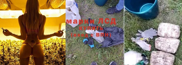 винт Алзамай