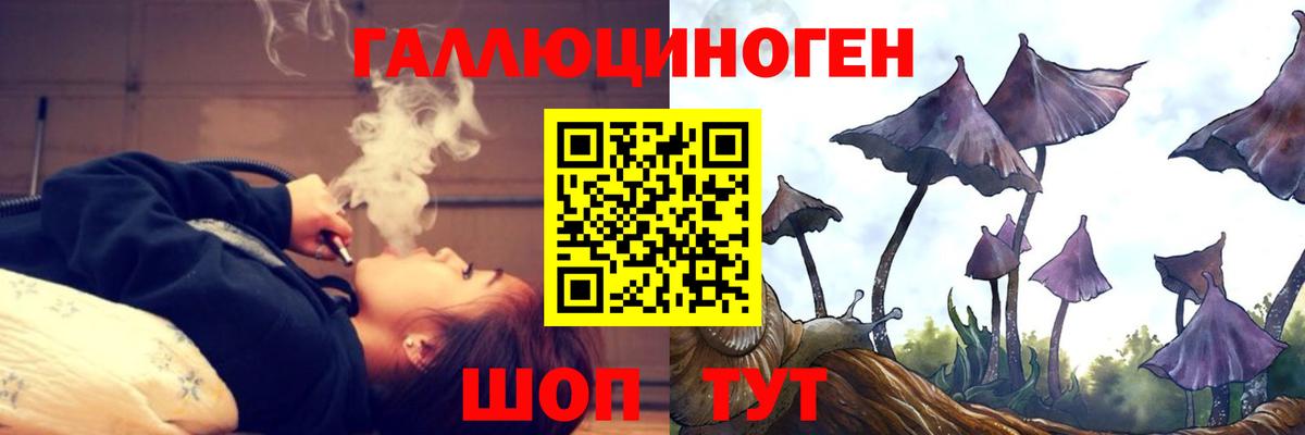 Псилоцибиновые грибы MAGIC MUSHROOMS Курск