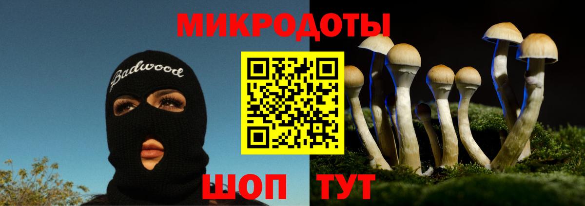 Псилоцибиновые грибы Psilocybine cubensis  Вход с VPN  Курск  Галлюциногенные грибы GOLDEN TEACHER 
