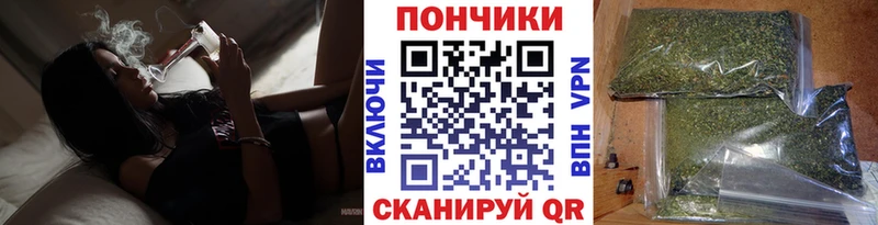 наркошоп  Курск  Канабис гибрид 